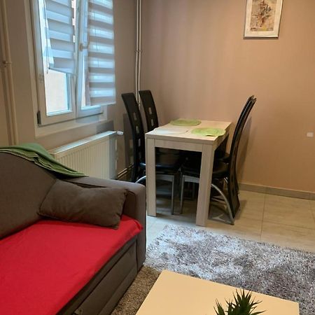 Appartement Clef Des Etoiles コルマール エクステリア 写真