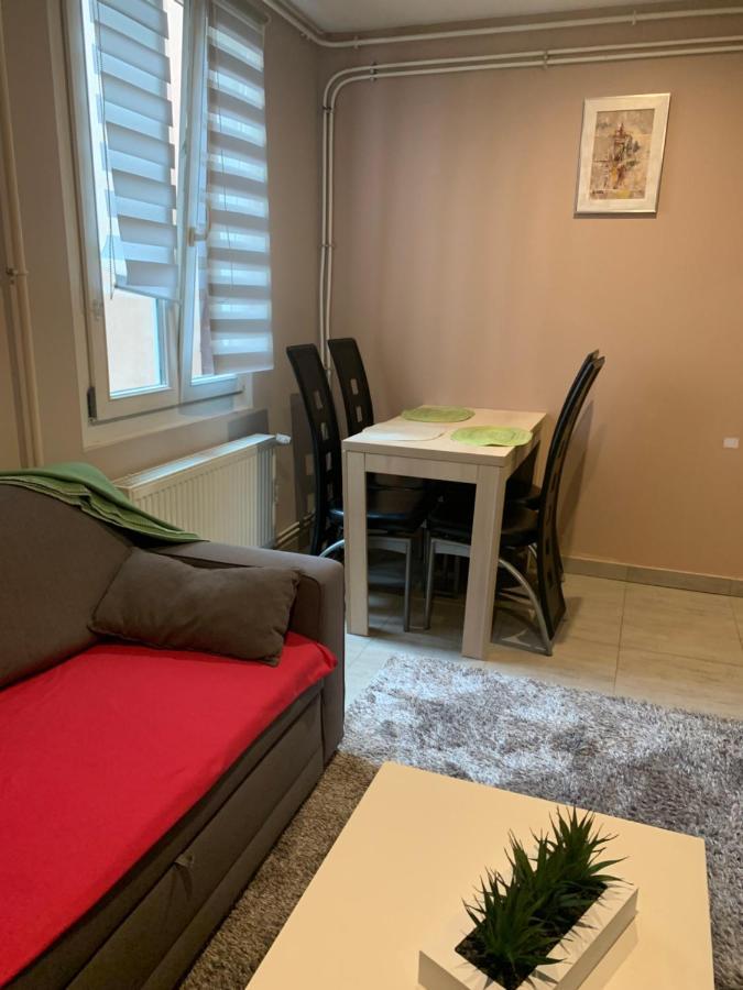 Appartement Clef Des Etoiles コルマール エクステリア 写真
